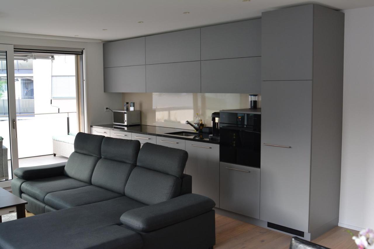 Great New Apartment Surrounded By Nature. Schattdorf Ngoại thất bức ảnh